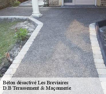 Béton désactivé  les-breviaires-78610 D.B Terassement & Maçonnerie