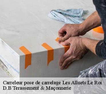 Carreleur pose de carrelage  les-alluets-le-roi-78580 D.B Terassement & Maçonnerie