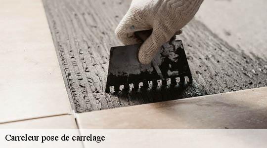 Carreleur pose de carrelage