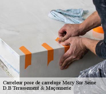 Carreleur pose de carrelage  mezy-sur-seine-78250 D.B Terassement & Maçonnerie