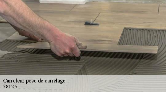 Carreleur pose de carrelage