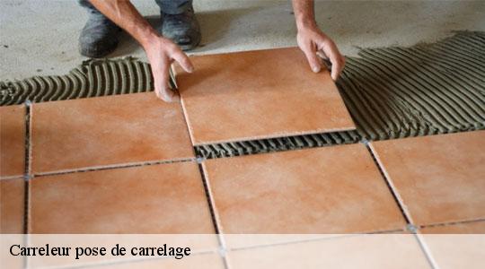 Carreleur pose de carrelage